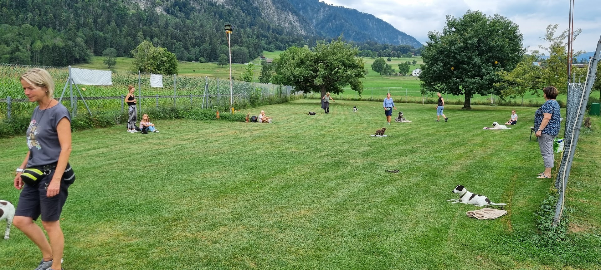 junghundekurse region landquart impulskontrolle im training