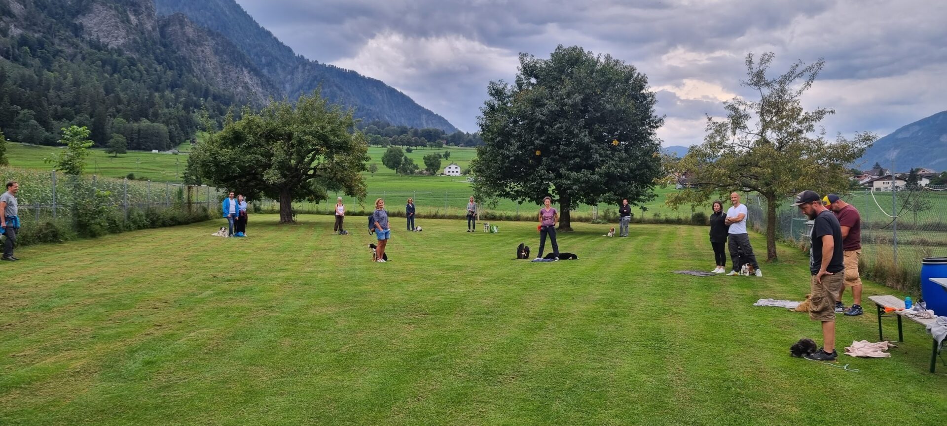 dog academy landquart training erwachsene hunde mensch hund team