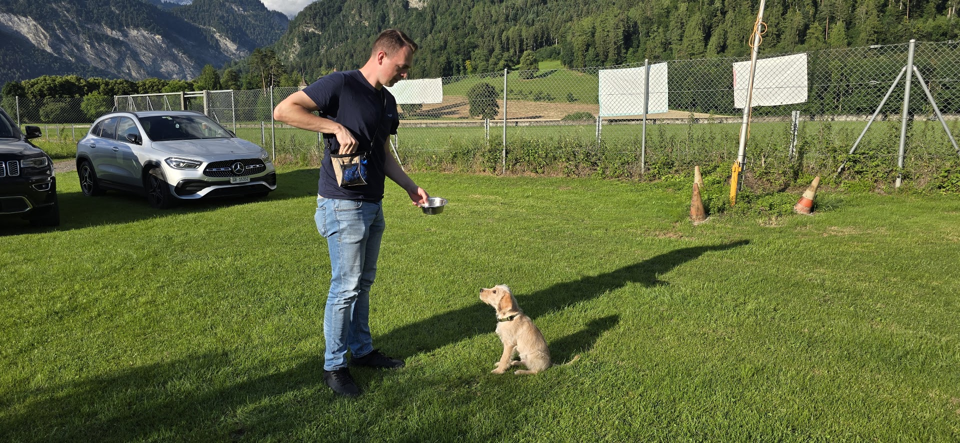 junghundekurse dog academy junghunde in der bündner herrschaft im training